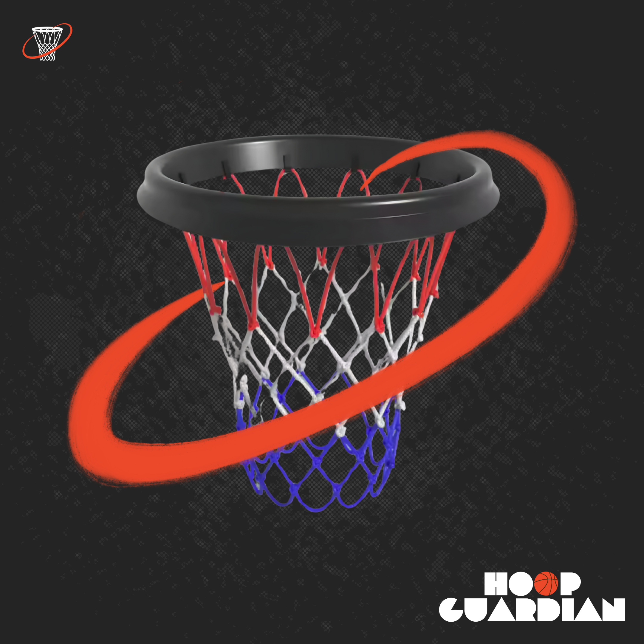 Hoop Guardian™ The Better Way To Play